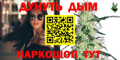 сатива Бузулук